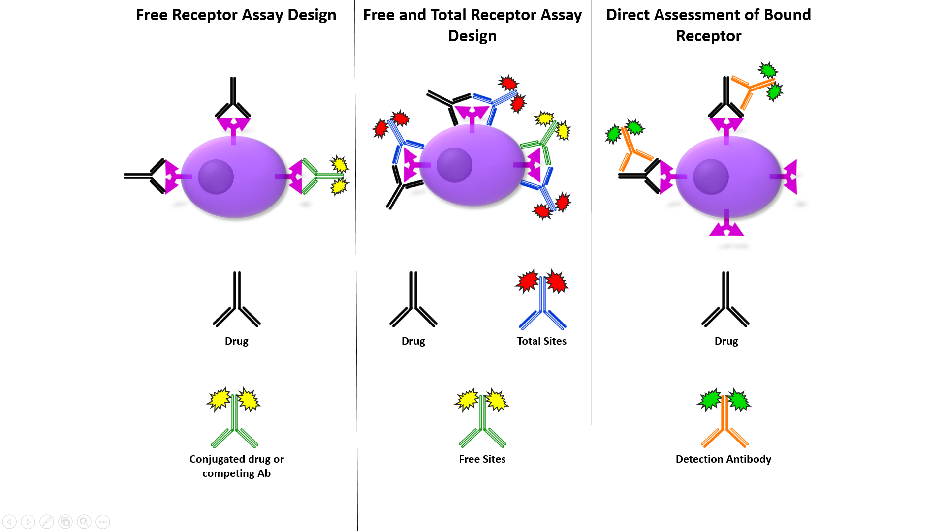 Receptor Occupancy - FLOW CONTRACT SITE