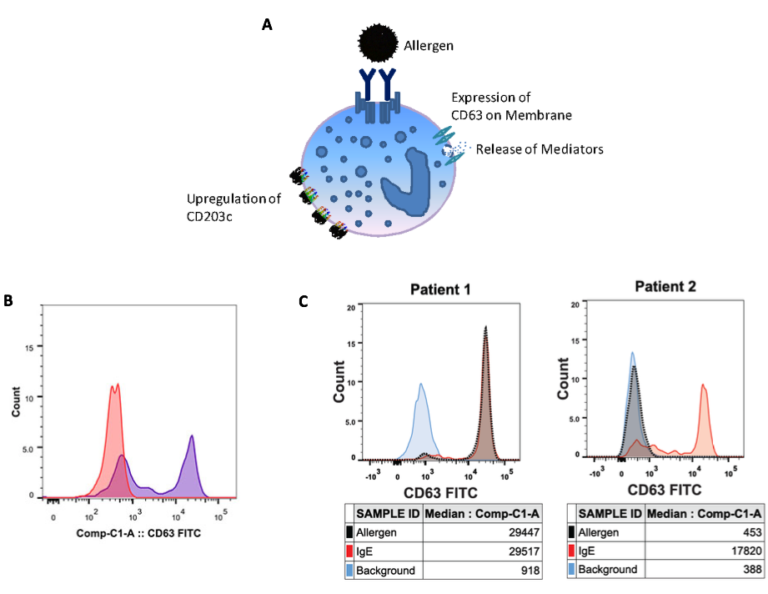 Functional Assays - FLOW CONTRACT SITE