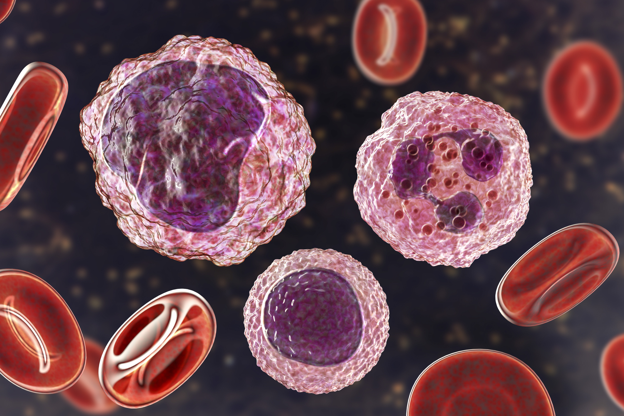 Using Flow Cytometry to Characterize Myeloid Derived Suppressor Cells ...