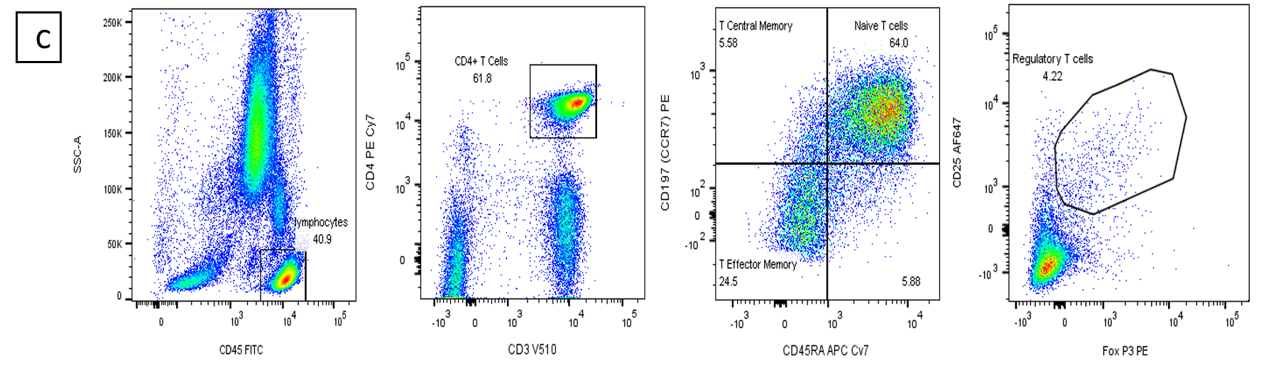 Immunophenotyping | Lymphocyte Subsets - Flow Contract Site