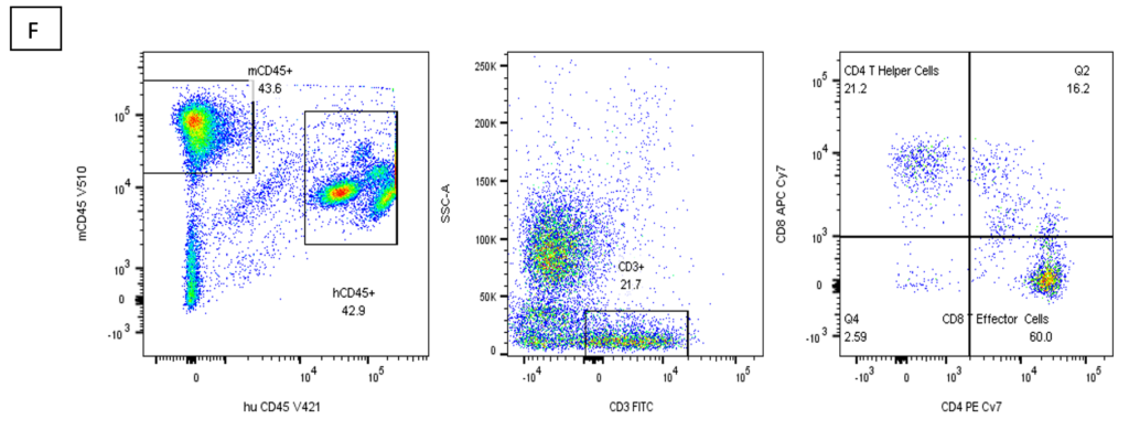 Immunophenotyping | Lymphocyte Subsets - Flow Contract Site